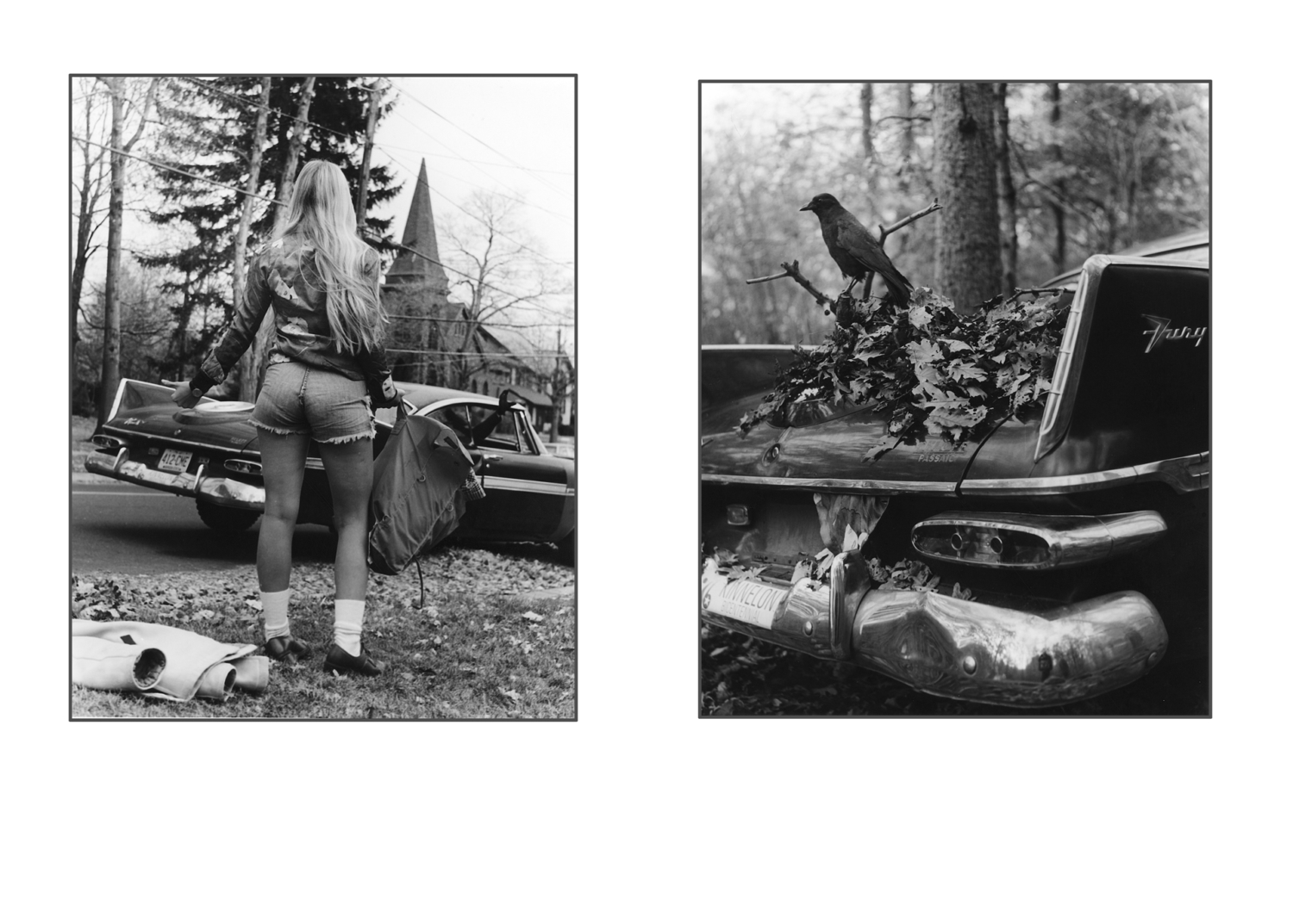 Mac Adams Fury, 1976